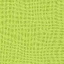 0515-diversion-kiwi