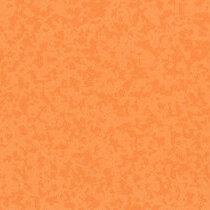 0702-kumquat