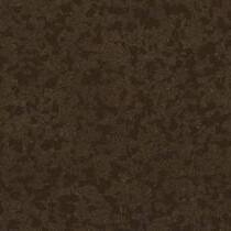 cocoa-taralaypremium