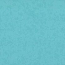 pacificblue-taralaypremium