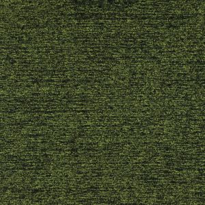 22211-spruce