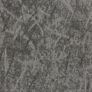 22805-arashi