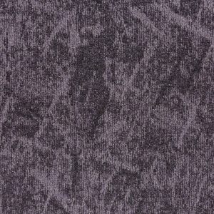 22811-orchid