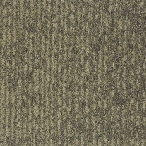 22909-birch