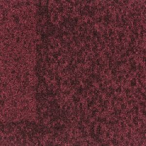 22911-bloom