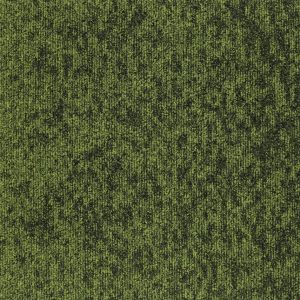 22912-leaf
